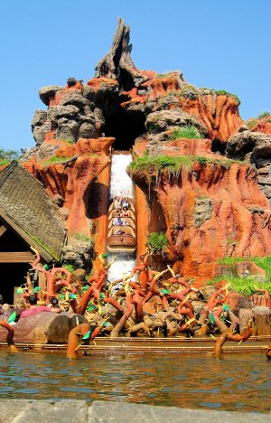 A photo of Splash Mountain's Big Drop at Walt Disney World Florida