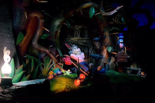 Splash Mountain Inside with Brer Rabbit Walt Disney World