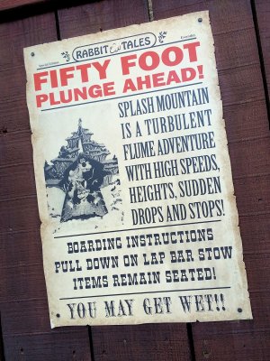 A photo of one Splash Mountain Queue Sign or poster in Walt Disney World